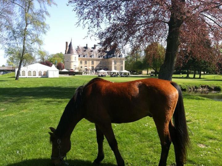 Chateau De Berticheres Шомон-ан-Вексан Екстериор снимка